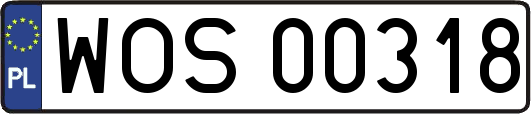 WOS00318