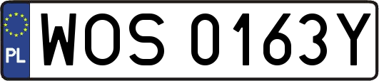 WOS0163Y