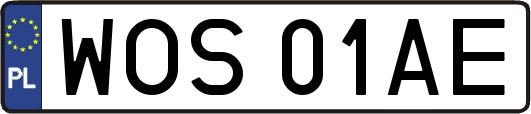 WOS01AE