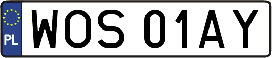 WOS01AY