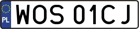 WOS01CJ