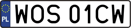 WOS01CW