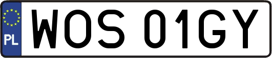 WOS01GY