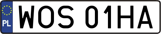 WOS01HA
