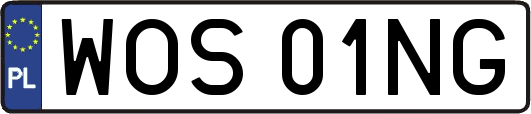 WOS01NG