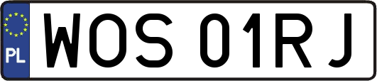 WOS01RJ