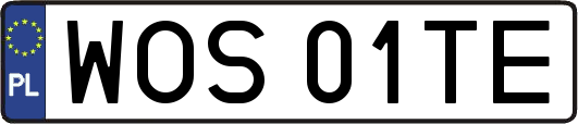 WOS01TE