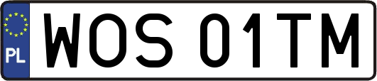 WOS01TM