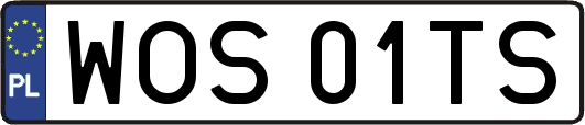 WOS01TS