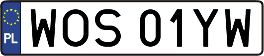 WOS01YW