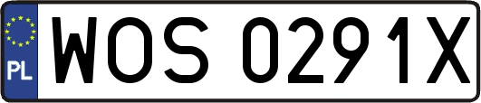 WOS0291X