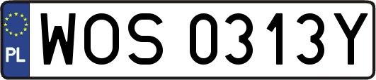 WOS0313Y