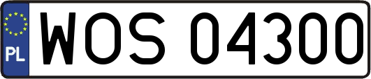 WOS04300