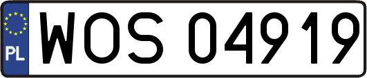 WOS04919