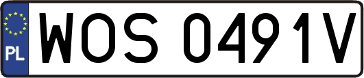 WOS0491V