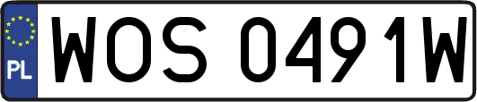WOS0491W