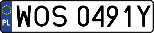 WOS0491Y