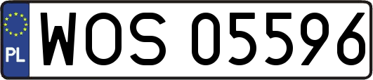 WOS05596