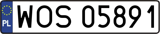 WOS05891