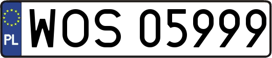 WOS05999