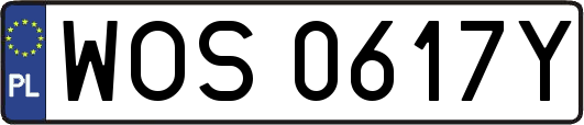 WOS0617Y