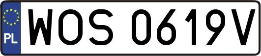 WOS0619V