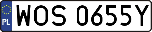WOS0655Y