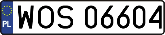 WOS06604