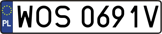 WOS0691V