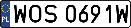 WOS0691W