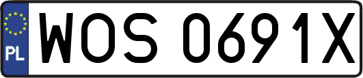 WOS0691X