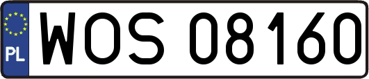 WOS08160