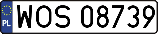 WOS08739