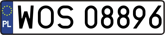 WOS08896