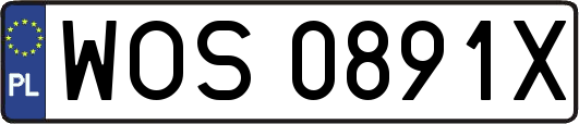 WOS0891X