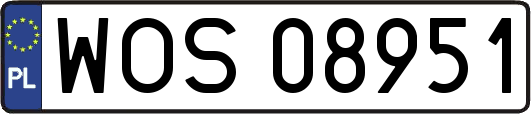 WOS08951