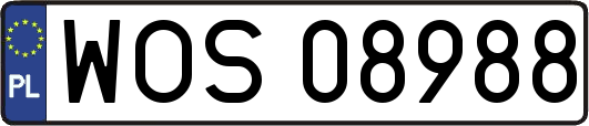 WOS08988