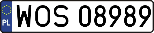 WOS08989