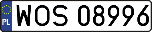 WOS08996