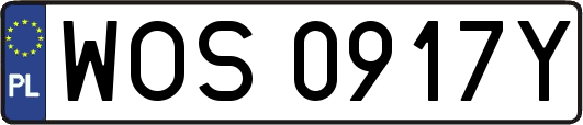 WOS0917Y