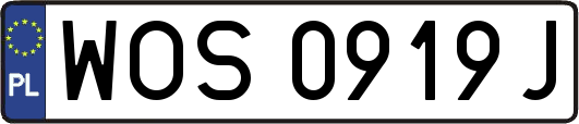 WOS0919J