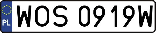 WOS0919W
