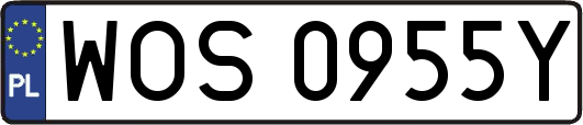 WOS0955Y