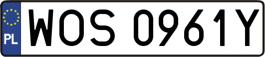 WOS0961Y
