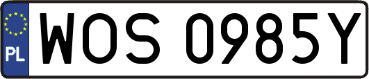 WOS0985Y