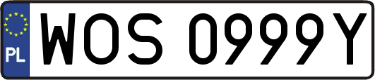 WOS0999Y