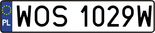 WOS1029W