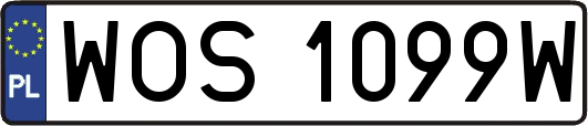 WOS1099W