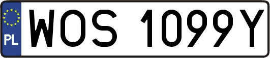 WOS1099Y