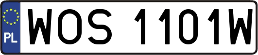 WOS1101W